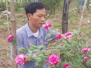 U40 Ninh Bình “liều mạng” cầm cố nhà cửa vì phải lòng hoa hồng cổ