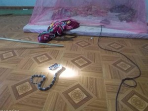 Lâm Đồng: Hoảng hồn rắn cực độc bò vào giường ngủ nhà dân giữa đêm