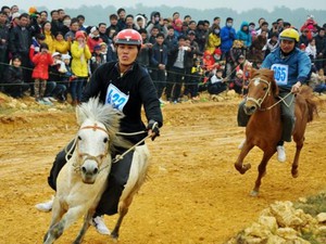 Xây trường đua ngựa 500 triệu USD: Hà Nội hưởng lợi gì?