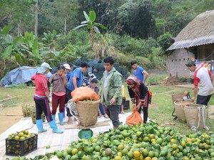 Chuyện ở Tuyên Quang: Nơi &quot;đốt đuốc&quot; không tìm ra...hộ nghèo