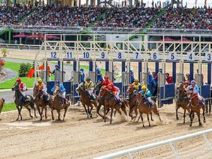 Hà Nội sẽ có trường đua ngựa rộng hơn 100 ha
