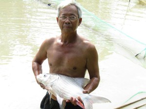 LẠ MÀ HAY: Thoát nghèo nhờ nuôi cá quý &quot;bí ẩn&quot; của dòng Mê Kông
