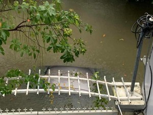 Đà Nẵng mưa lớn, hàng loạt xế xịn ngập trong nước