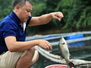Nghệ An: Đổi đời nhờ nuôi những loài cá đặc sản trên hồ Hủa Na