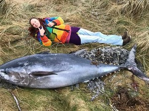 Cá ngừ khổng lồ “bay” vào bờ biển Anh, dân kinh ngạc