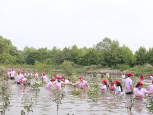 C.P Việt Nam chung tay trồng rừng bảo vệ môi trường xanh