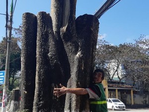 Giá cà phê cao kỷ lục, một nông dân Đắk Lắk bàng hoàng phát hiện vườn cà phê bị chặt cụt lủn - Ảnh 6.