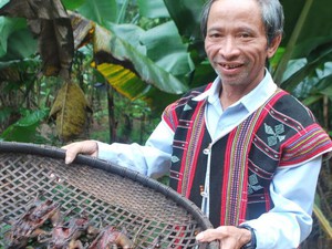 Quảng Nam: Sóc rừng xông khói-món ăn 