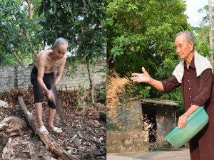 Lạ Ninh Bình: Hơn 100 tuổi vẫn vác thóc, lật đá, bổ củi phăm phăm