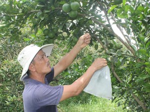 10 năm xây dựng NTM Quảng Ngãi: Các vùng quê đều “thay áo mới”