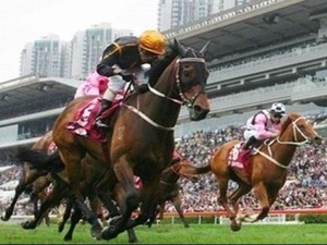 "Đại gia" Hàn Quốc được cho phép đầu tư trường đua ngựa trăm triệu đô