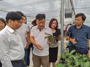 Quảng Ninh: Kỹ sư về hưu nuôi gà, thả cá, trồng lan, thu 15 tỷ/năm