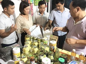 10 năm nông thôn mới Hà Giang: Hội tụ nhiều "của ngon vật lạ"