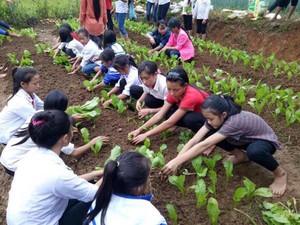 Nghệ An: Vựa rau xanh, sạch cho học sinh bán trú vùng biên