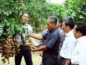 Làm thương hiệu cho nông sản Hà Nội: “Chìa khóa” mở cửa thị trường