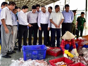 Phó Thủ tướng Trịnh Đình Dũng, Trưởng ban IUU làm việc tại Kiên Giang về nỗ lực chống khai thác IUU