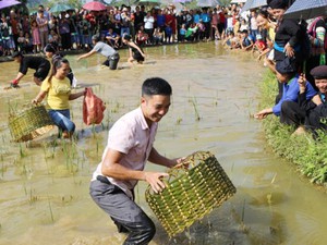 Hà Giang: Cả làng ra xem, cổ vũ trai gái lội ruộng thi úp bắt cá