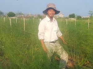Nam Định: Lãng tử bỏ lương nghìn đô về làng trồng..."rau vua"