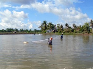 Trà Vinh: Xã nghèo vùng sâu đổi thay nhờ nông thôn mới