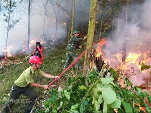 Ảnh: Nghìn người tham gia diễn tập tiêu diệt "giặc lửa" ở Hòa Bình