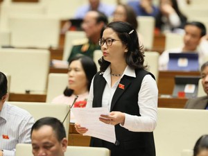 GS.TS Nguyễn Thị Lan: Cần thiết thành lập Quỹ phòng chống thiên tai