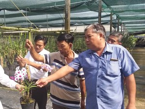 Tây Ninh: Hiệu ứng tích cực từ cho vay qua tổ vay vốn của Agribank