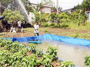 Xâm nhập mặn đã lan tới Vĩnh Long, độ mặn nào thì cây chết?