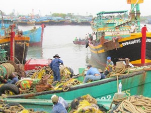Thông tư 22 hướng đến xây dựng một nghề cá có trách nhiệm, bền vững
