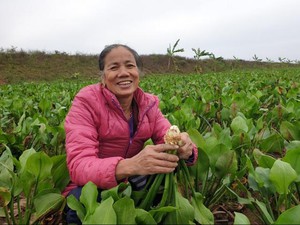 Nuôi cầy hương mắt lồi tròn xoe vốn là con động vật hoang dã, một người Ninh Bình trúng lớn - Ảnh 17.