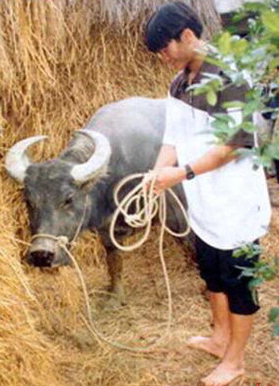 Phạm Văn Quyến: Cậu bé không cha, thần đồng bóng đá và vết nhơ bán độ - Ảnh 2.