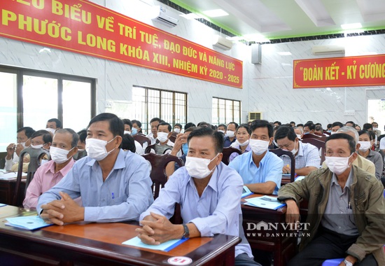 Kỹ sư Hồ Quang Cua: Cần xử lý nghiêm việc lấy lúa lương thực làm giống - Ảnh 1.