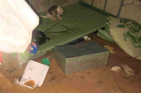 Nghệ An: Nước dâng lên nhanh, 40 học sinh dỡ mái ngói phòng trọ thoát ra ngoài - Ảnh 3.