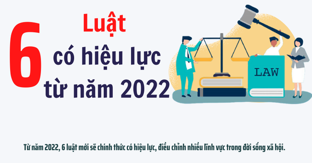 6 luật mới có hiệu lực từ năm 2022