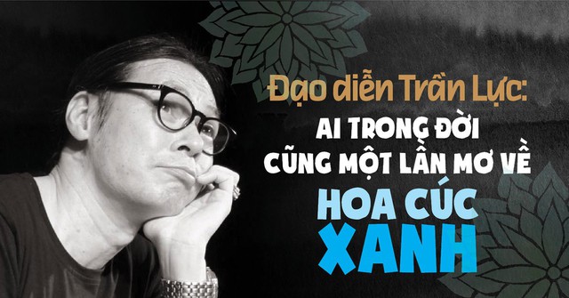 ảnh hoa cúc và bầu trời