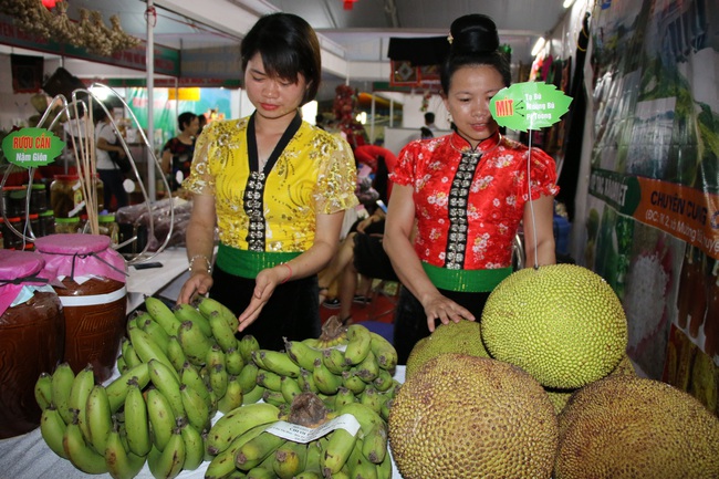 Hiệu quả từ phong trào nông dân thi đua sản xuất, kinh doanh giỏi ở Sơn La - Ảnh 1.