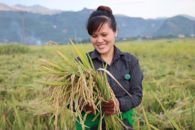 Hiệu quả từ phong trào nông dân thi đua sản xuất, kinh doanh giỏi ở Sơn La - Ảnh 5.