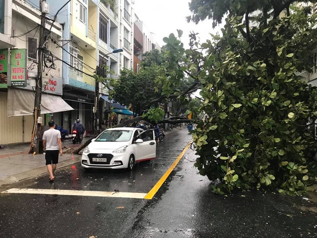 Đà Nẵng: Thêm người mất tích, cây ngã đổ do ảnh hưởng bão số 6 - Ảnh 2.