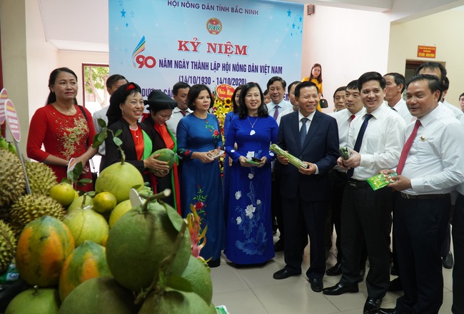 Bắc Ninh: Xuất hiện nhiều tấm gương nông dân làm giàu, 90% hộ đăng ký đạt danh hiệu sản xuất kinh doanh giỏi - Ảnh 4.