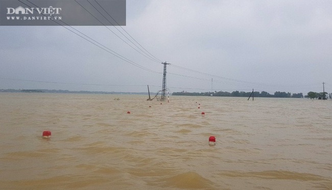 Người dân vùng “rốn lũ” Tân Ninh (Quảng Bình), húp cháo trắng, ăn mì tôm chờ lũ rút - Ảnh 4.