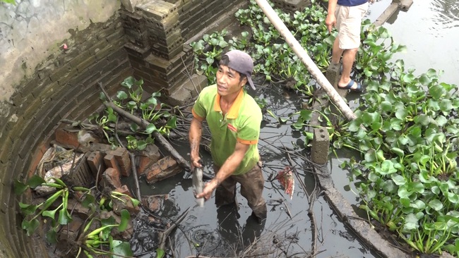 Hưng Yên: Trồng hồng cổ Sa Pa, nuôi con đặc sản dưới ao, lão nông thu nhập tiền tỷ - Ảnh 3.