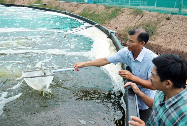 Bạc Liêu: Hàng năm có trên 35.000 hộ nông dân sản xuất giỏi, có hộ thu tiền tỷ - Ảnh 2.