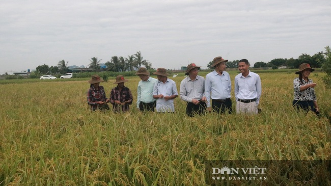 Quảng Ninh: Nhân rộng mô hình &quot;nông dân dạy nông dân&quot; theo phương thức &quot;cầm tay chỉ việc&quot;  - Ảnh 1.