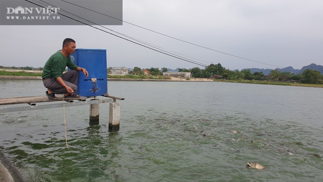 Ninh Bình: Biến ruộng hoang thành ao nuôi bạt ngàn cá khủng, con nào con đấy to đẫy đà  - Ảnh 2.