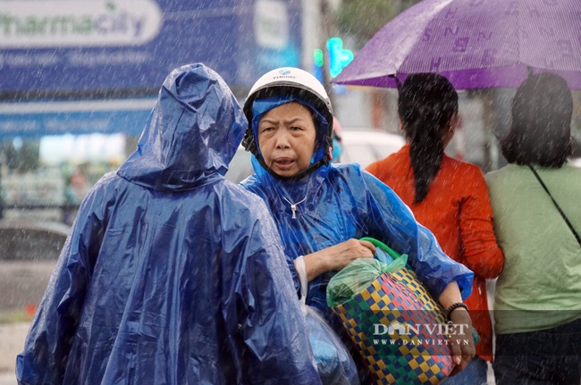 Người Huế tiếp tục lội bì bõm, bơi thuyền trong phố vì mưa ngập nặng nề - Ảnh 10.