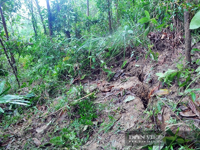 Hà Tĩnh: Xuất hiện vết nứt hàng chục mét trên núi, khẩn cấp sơ tán người dân - Ảnh 2.