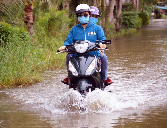 Cà Mau: Vùng ngọt hóa lao đao vì ngập, lúa thiệt hại, học sinh phải nghỉ học - Ảnh 2.