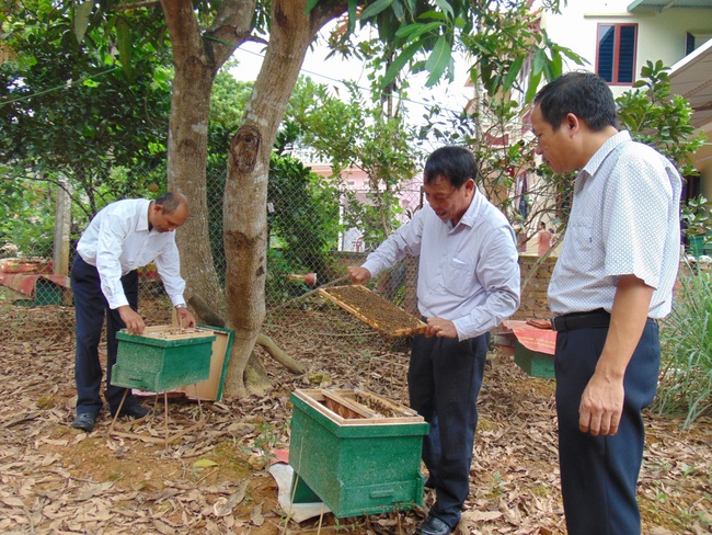 Sơn Tây hoàn thiện bức tranh nông thôn mới  - Ảnh 1.