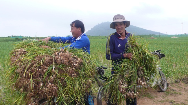 Hỗ trợ hiệu quả, thôn bản vượt khó - Ảnh 1.