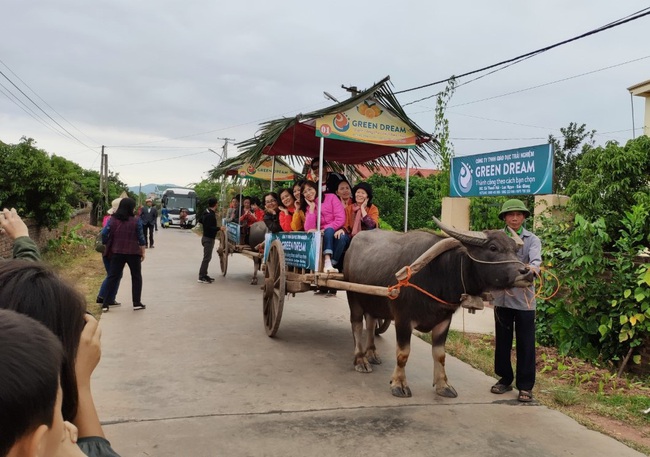 Bắc Giang: Đến Lục Ngạn, du khách thích thú đi xe trâu thăm quan trải nghiệm vườn cam, bưởi tiền tỷ, quả sai trĩu cành - Ảnh 2.