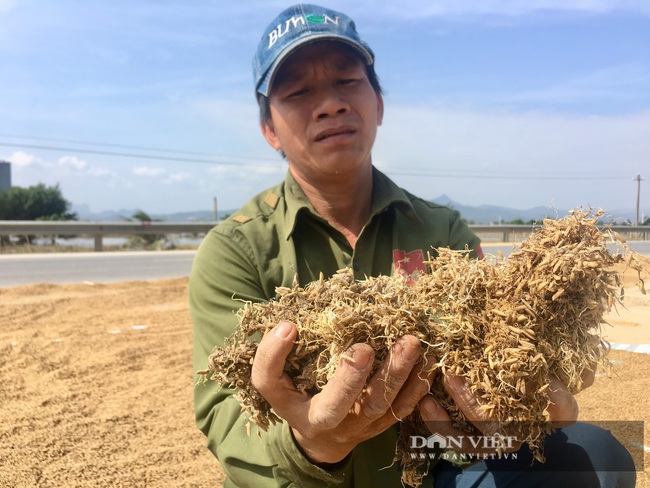 Trắng tay sau lũ lịch sử, nông dân Quảng Bình cần gì nhất?	 - Ảnh 3.